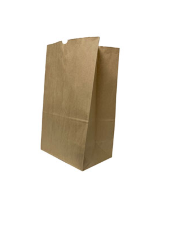 6lb Standard Kraft Paper Bag 1000/cs..